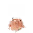 photophore-plumes-j-line-2.webp