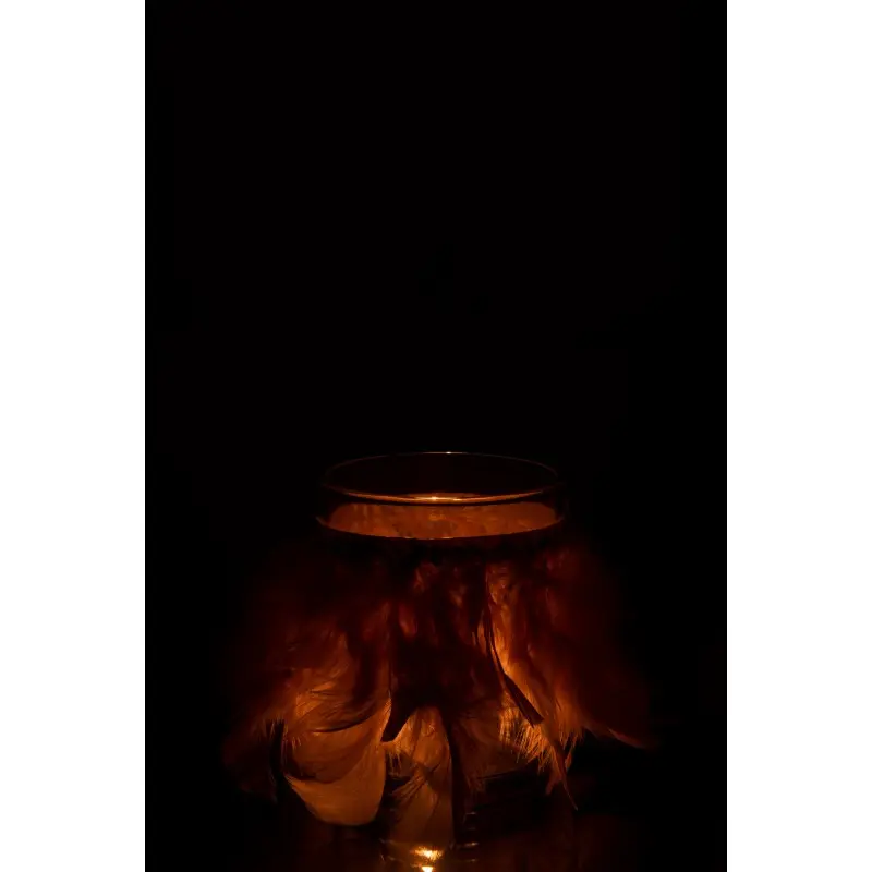 photophore-plumes-j-line-3.webp