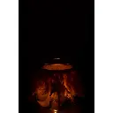 photophore-plumes-j-line-3.webp