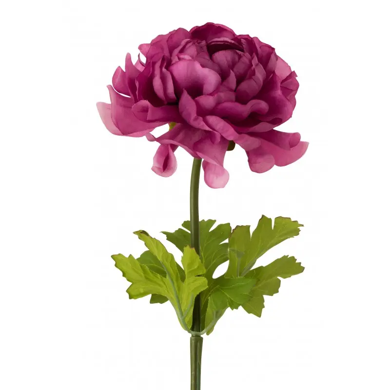 renoncule-artificiele-j-line-2.webp