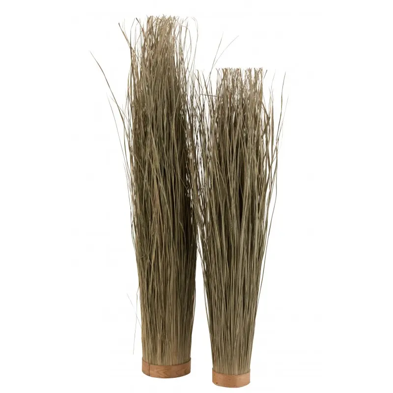 herbes-sechees-l-j-line-2.webp