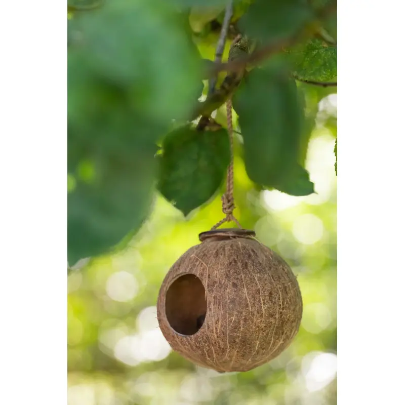 noix-de-coco-nichoir-j-line-3.webp