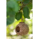 noix-de-coco-nichoir-j-line-3.webp