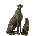 leopard-assis-large-j-line-2.webp