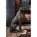leopard-assis-small-j-line-2.webp