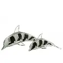 presse-papier-dauphin-l-j-line-2.webp