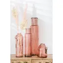 feuilles-brins-de-mais-seches-j-line-3.webp