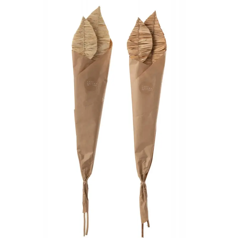 feuilles-brins-de-mais-seches-j-line-2.webp