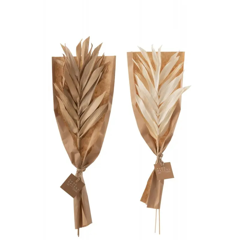 feuille-sechee-j-line-2.webp