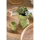 cachepot-grenouille-s-j-line-2.webp