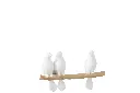 3 Oiseaux Sur Branche J-Line.webp