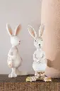 Lapin habillé J-Line-A.webp