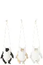 Chien avec Couche-culotte suspendu J-Line-3.webp