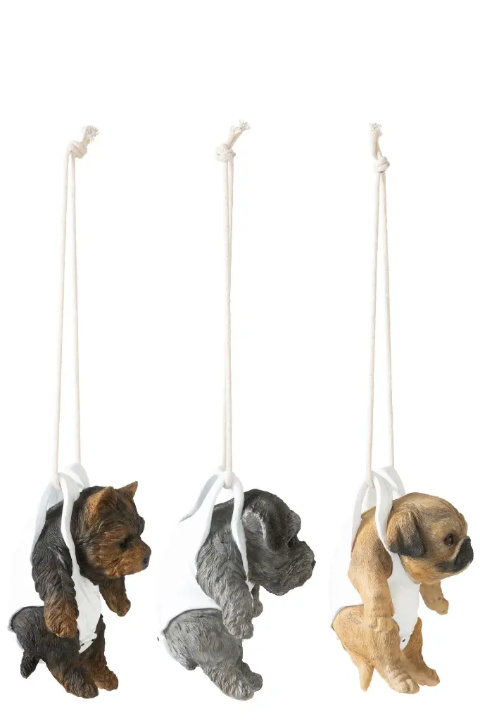Chien avec Couche-culotte suspendu J-Line-2.webp