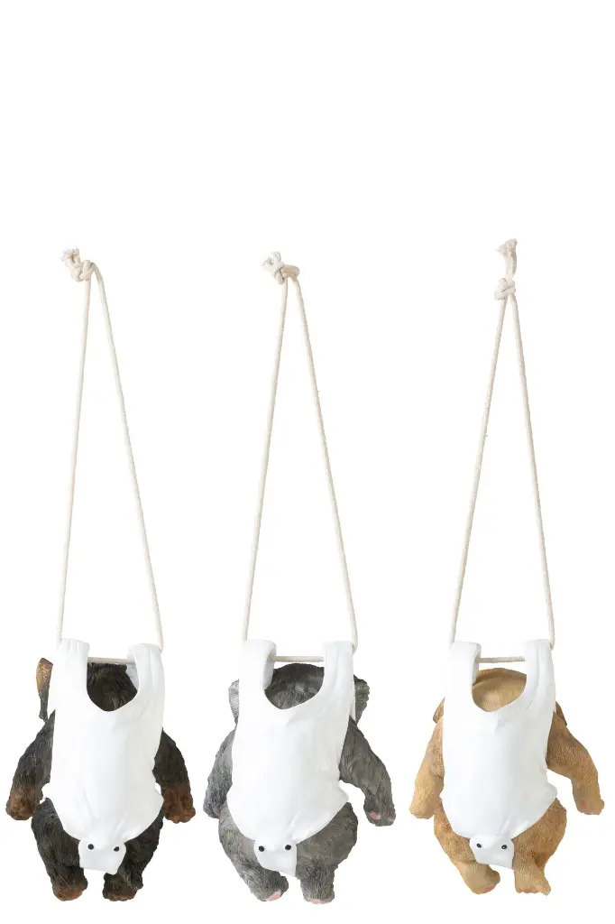 Chien avec Couche-culotte suspendu J-Line-3.webp