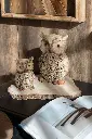 Hibou Imitation Bois L J-Line 59767-A.webp
