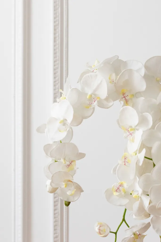 Orchidee En Terre J-Line 12488-A.webp