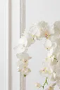 Orchidee En Terre J-Line 12488-A.webp