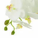 Orchidee En Terre J-Line 12488-2.webp