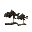fossile-poisson-l-J-Line-2.webp