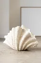 Deco Vase Coquillage J-Line 40543-A.webp