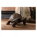 tortue-l-J-Line.webp