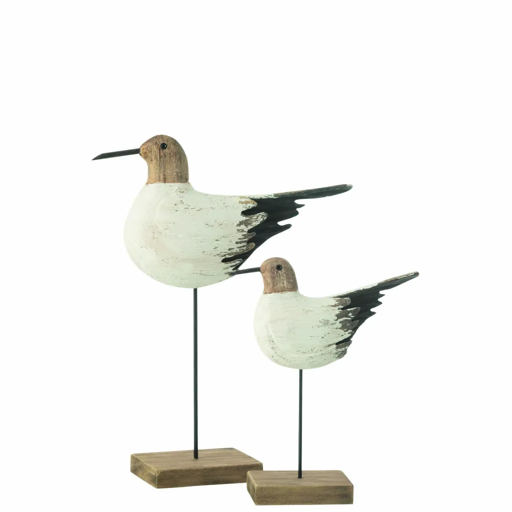 Mouette Sur Pied 50171-2.webp