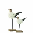 Mouette Sur Pied 50171-2.webp