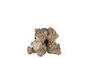 Teddy 3 Parties Resine Marron Clair J-Line