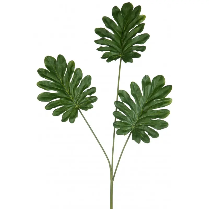 Philodendron - branche décorative J-Line