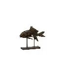 Fossile Poisson S  J-Line