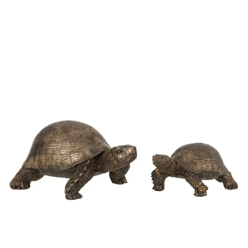 Tortue S/L J-Line (Small)