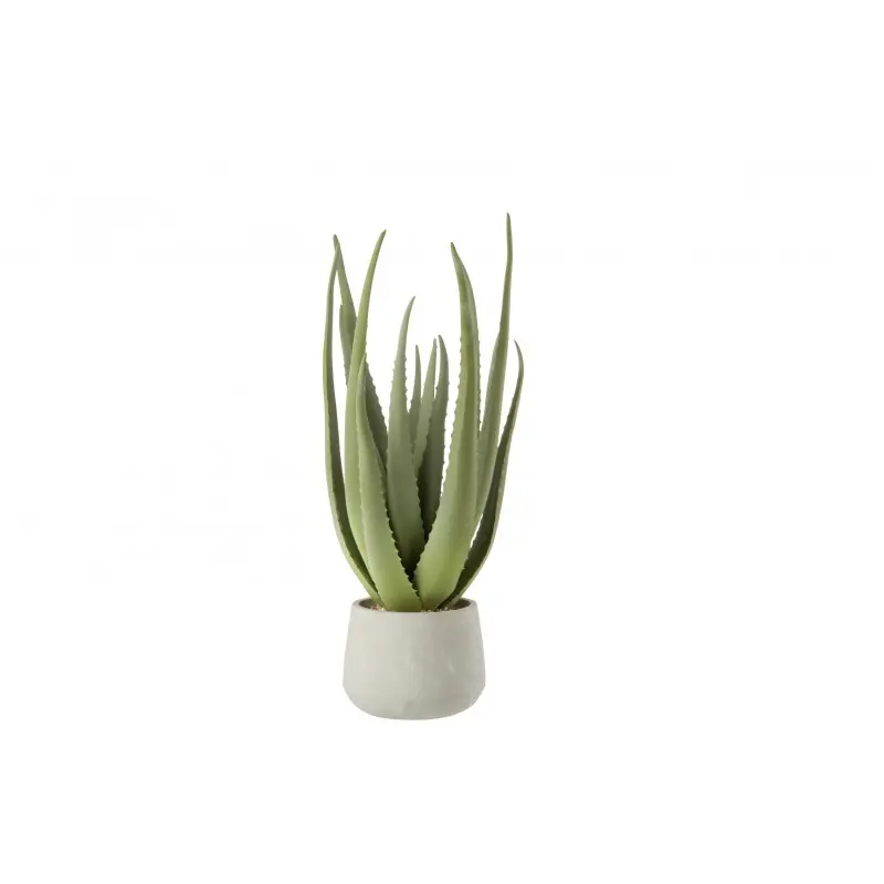 Aloe artificiel J-Line