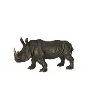 Rhinocéros Large J-Line
