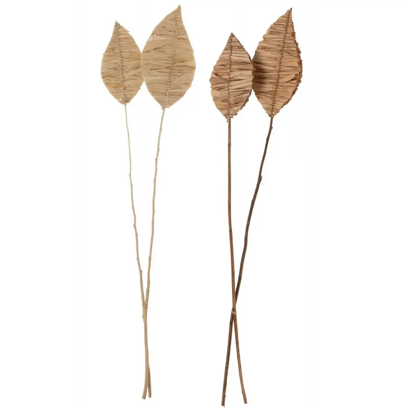 Feuilles brins de maïs séchés J-Line