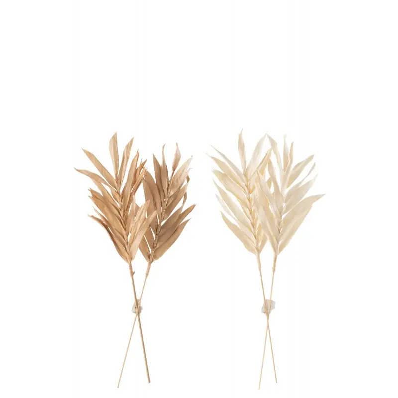 Feuille séchée J-Line