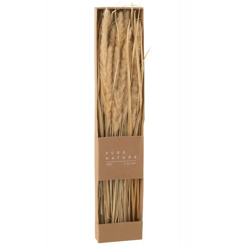 [33006] Boite Herbes Sechees Naturel J-Line
