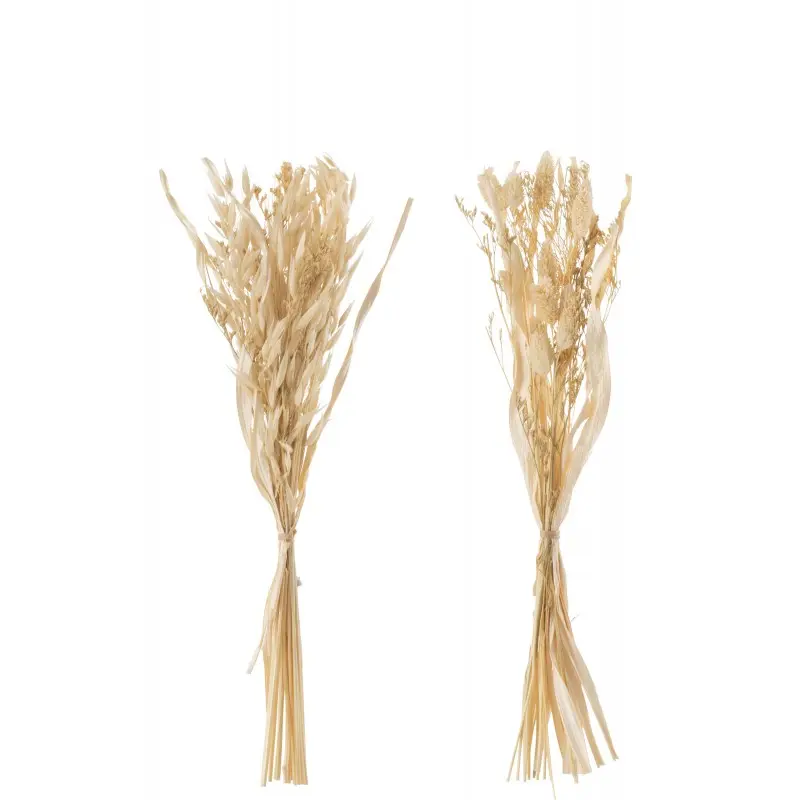 Bouquet Herbes Avana séchées J-Line
