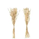 Bouquet Herbes Avana séchées J-Line