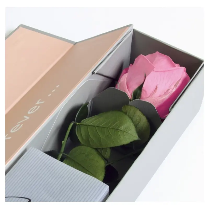 [VRS-rose] Rose éternelle - collection V-Rose Verdissimo (Rose)