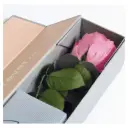 Rose éternelle - collection V-Rose Verdissimo