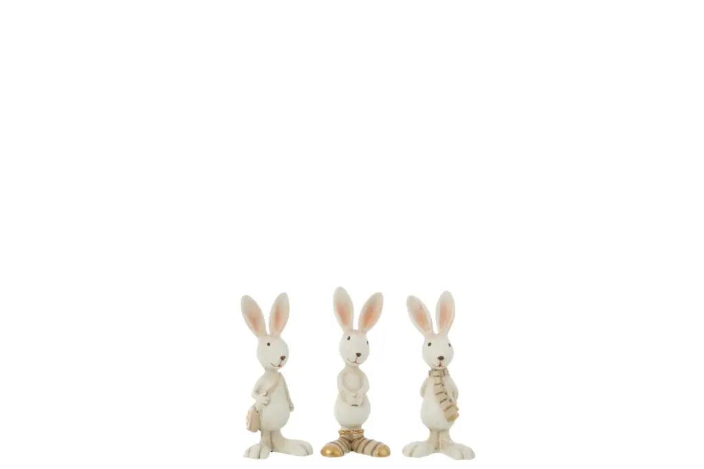 [50644-1] Lapin Habillé J-Line (1)