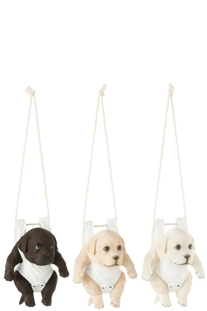 Chien avec Couche-culotte suspendu (B) J-Line