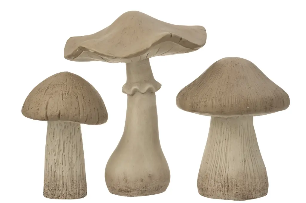 Champignon Mat Magnésium J-Line