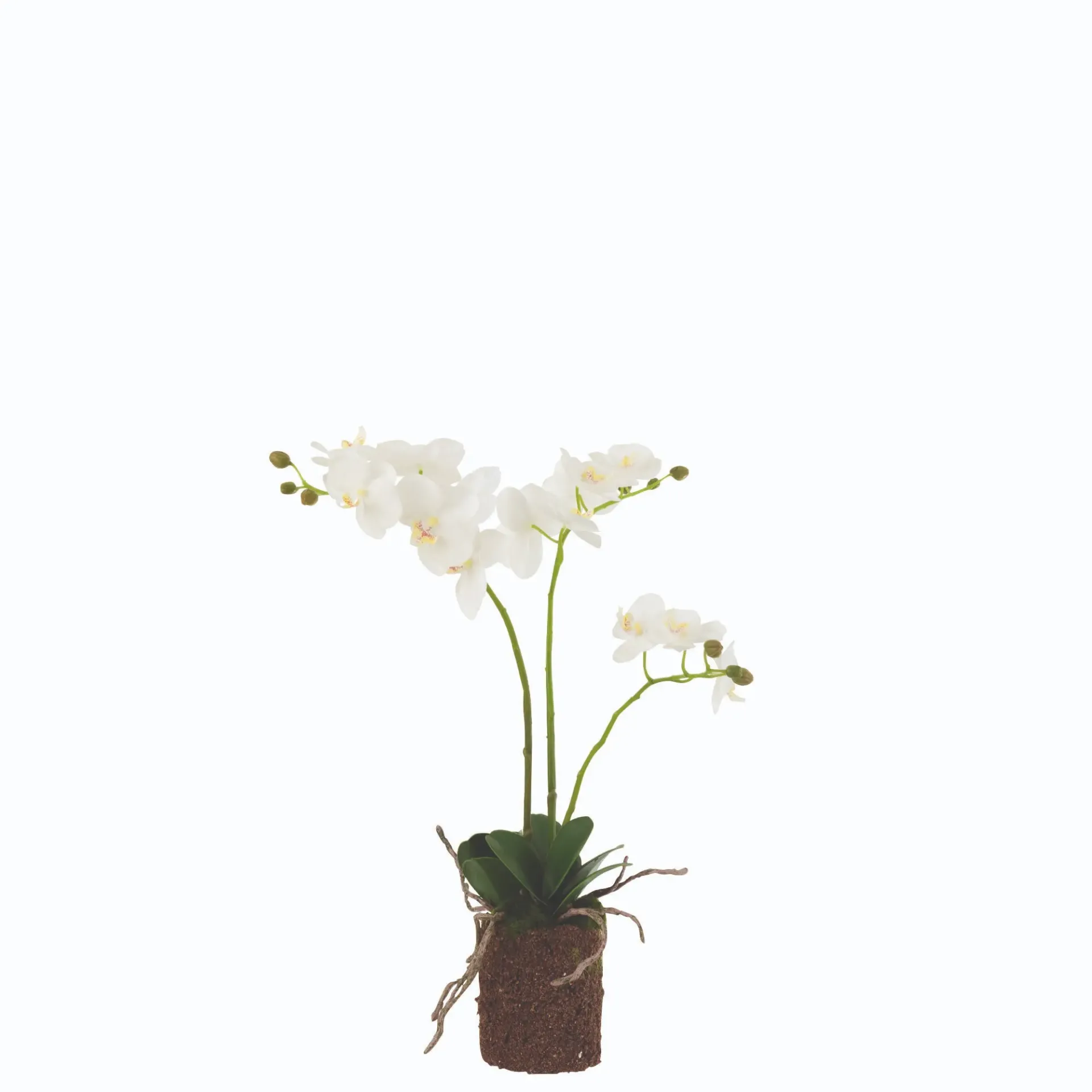 Orchidée En Terre artificielle M J-Line
