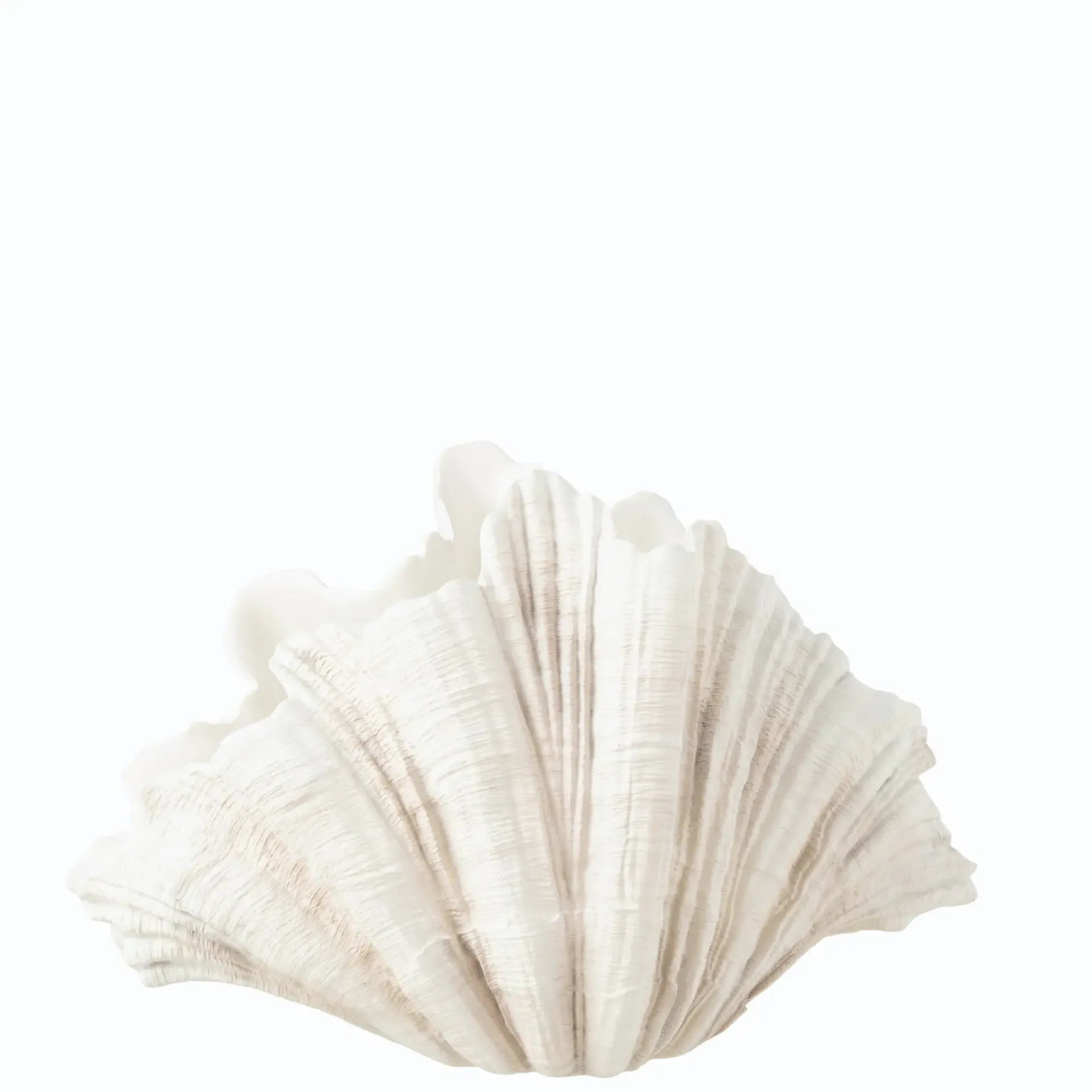 Deco Vase Coquillage J-Line