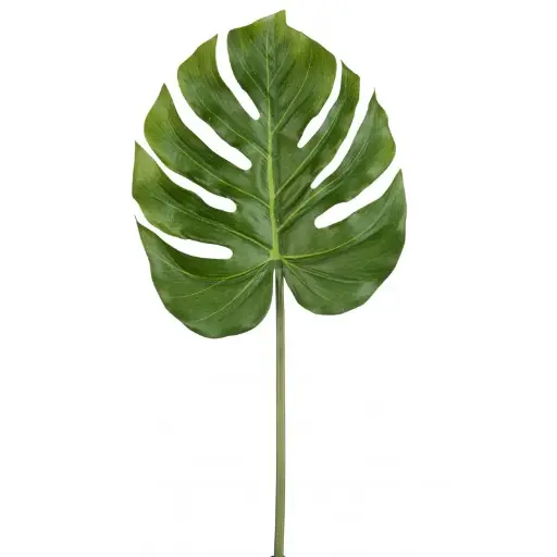 [60077] Monstera Real Touch décoratif J-Line