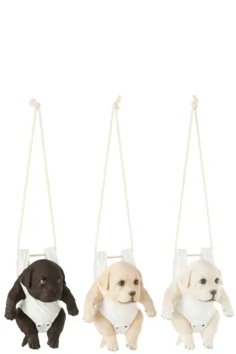 Chien avec Couche-culotte suspendu (B) J-Line